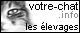 http://www.votre-chat.info/
