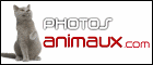 http://www.photos-animaux.com/
